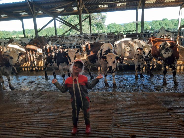 Avec l'aide de ses enfants, Anthony Leduc entraîne les vaches sélectionnées un mois avant le concours. 