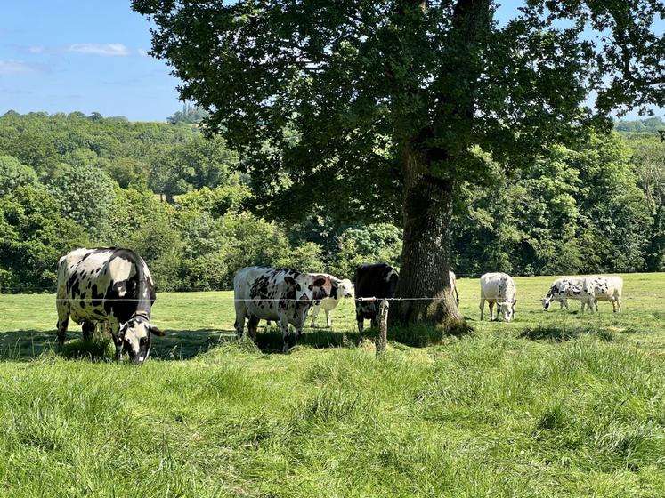 "L'assemblée est un moment important pour comprendre les dynamiques en cours, poser des questions et contribuer aux réflexions collectives", précise Valentine Latimier, présidente.