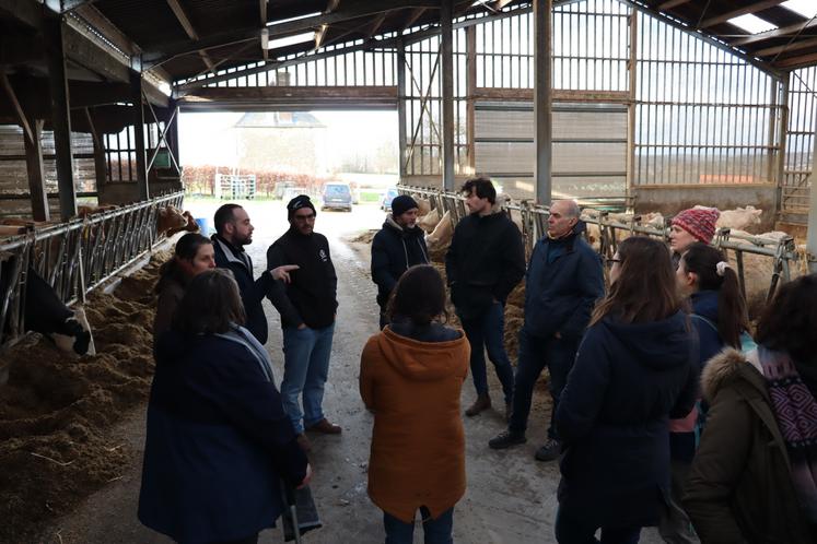 Plusieurs éleveurs ont témoigné : une litière copeaux vaut une litière paille mais en fonction de la disponibilité de l'une ou l'autre ressource, c'est plus ou moins avantageux.