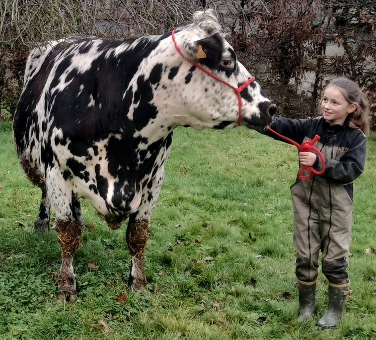 Avec 96 vaches, le Gaec produit 780 000 l de lait par an.