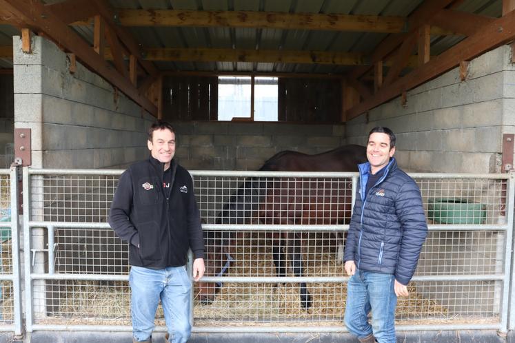Benoît et Damien Duprey, sont à la tête du Gaec du Petit Banville. Ils élèvent des vaches laitières et des chevaux dans les marais de Carentan, à Catz.