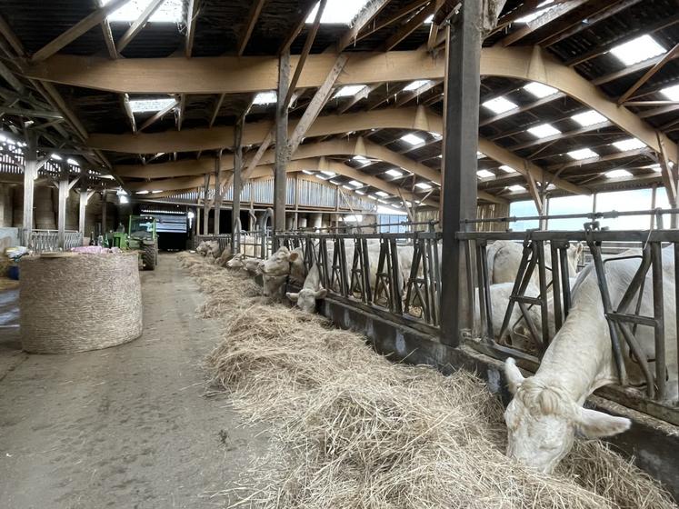 "C'est une ferme assez typique historiquement de la plaine de Caen", assure l'agriculteur. Le nouveau bâtiment d'élevage en bois est "très agréable à travailler".
