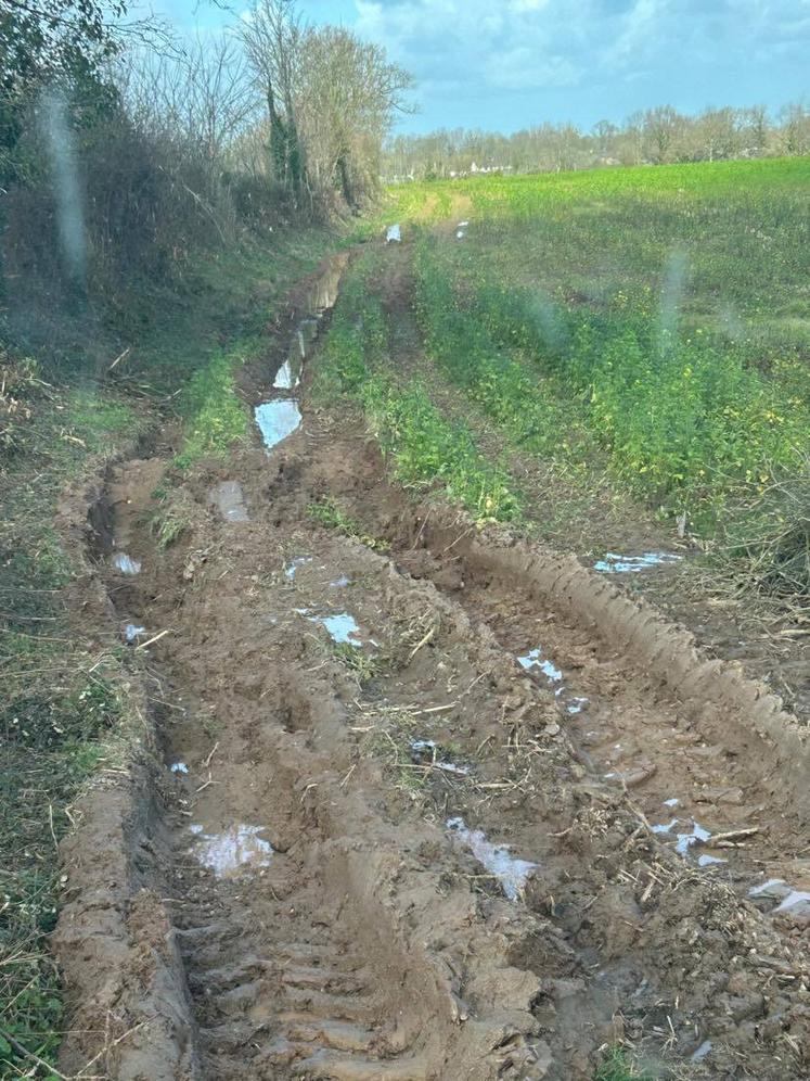 Les agriculteurs sont exténués par la pluie rendant difficile les travaux dans les champs.
