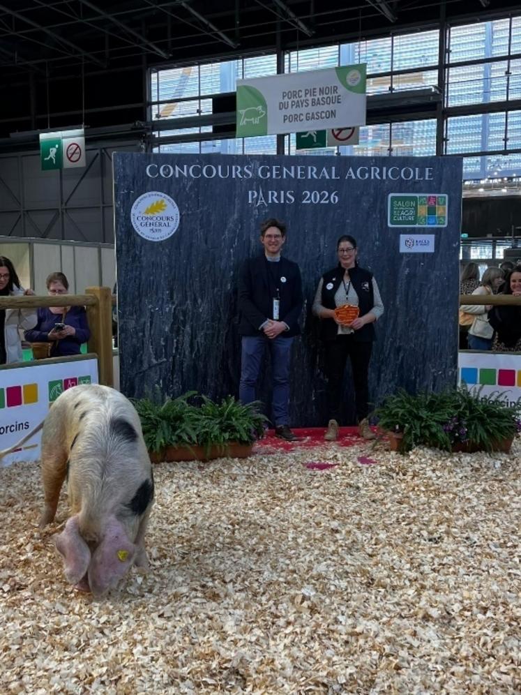 Tandis que Christelle Marie et Valseuse dominent le concours.