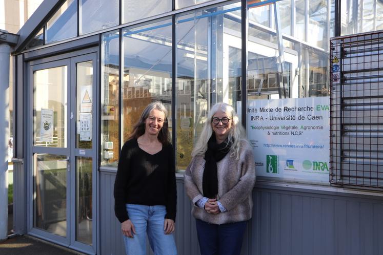 "Notre mission, c'est de produire des connaissances scientifiques à partir de ces bioessais", soulèvent Annette Morvan-Bertrand et Marie-Pascale Prud'homme.