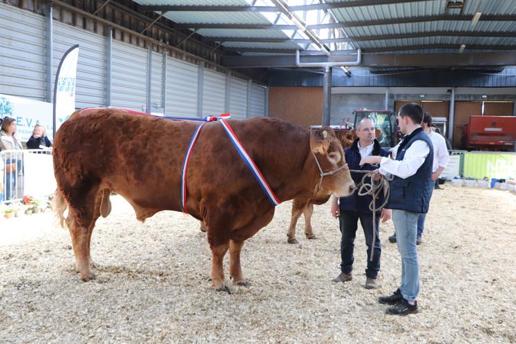 En 2025, il a remporté le titre de champion mâle du concours à la Foire de Lisieux avec son taureau (en copropriété) : Templier.