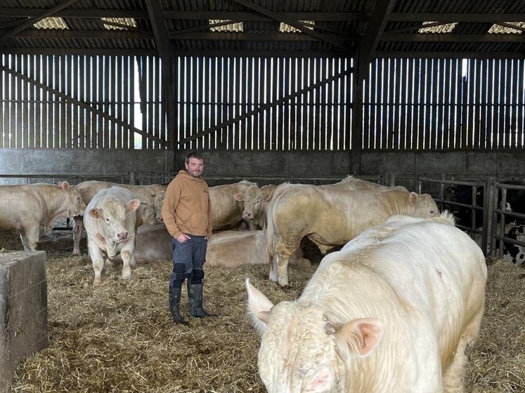 Jean-Baptiste, Hugues et Maxime Lalonde accueilleront la prochaine assemblée générale du syndicat Charolais du Calvados sur leur ferme à Saon, dans le Bessin. Ils y élèvent, entre autres, 120 mères Charolaises.