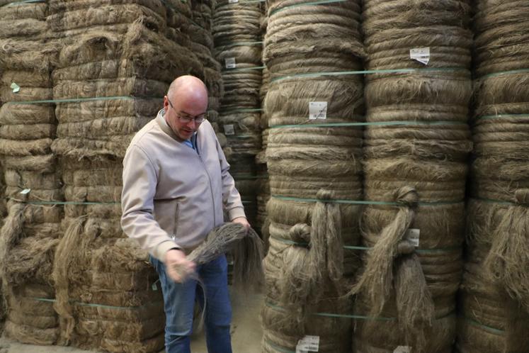 La campagne 2024 a sollicité 15 000 heures de travail au total, lin et chanvre compris. "Et il reste encore quelques hectares à teiller !"