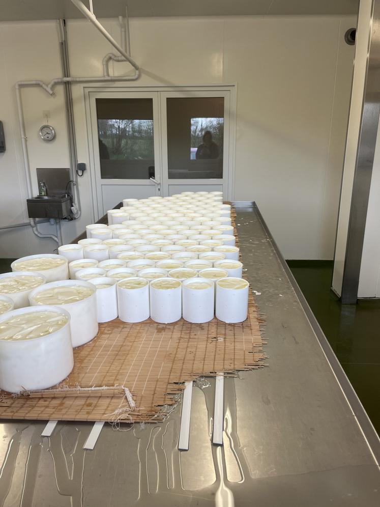 Camemberts, beurre, crème, yaourts et glaces sont fabriqués à la ferme.