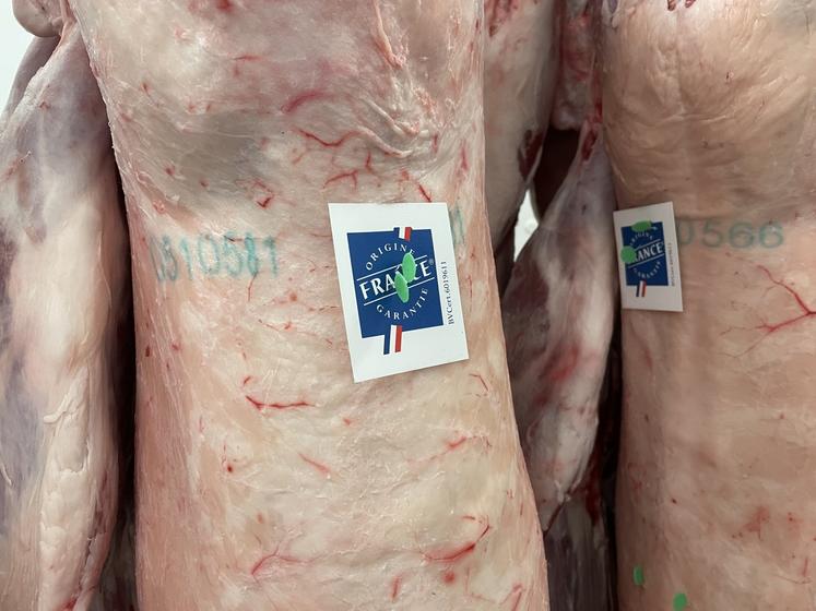 À Gacé, Socopa est installé à seulement 1 km de l'atelier des Éleveurs de la Charentonne. Ici, une carcasse d'agneau.