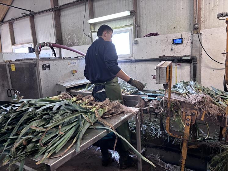Le marché n'est pas porteur pour les maraîchers. Ils produisent à perte, engendrant des difficultés dans les trésoreries.