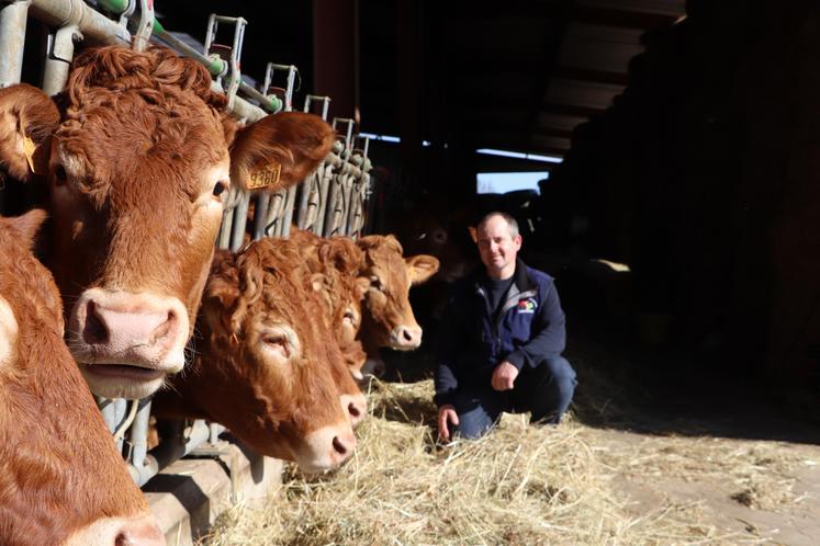 Mordu de vaches allaitantes, il a choisi les Limousines pour leur viande "bien valorisée, les vêlages plutôt faciles et les veaux autonomes".