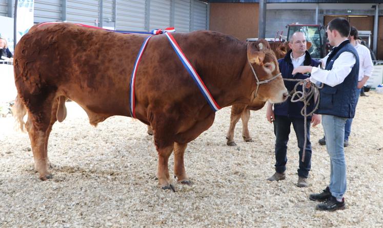 En 2025, il a remporté le titre de champion mâle du concoursà la Foire de Lisieux avec son taureau (en copropriété) : Templier.