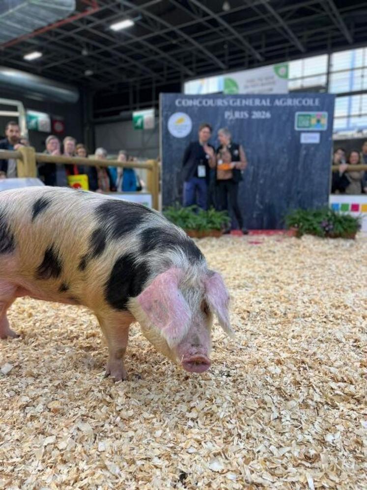 Jocelyne Meunier et Vici raflent la 2e place du concours.