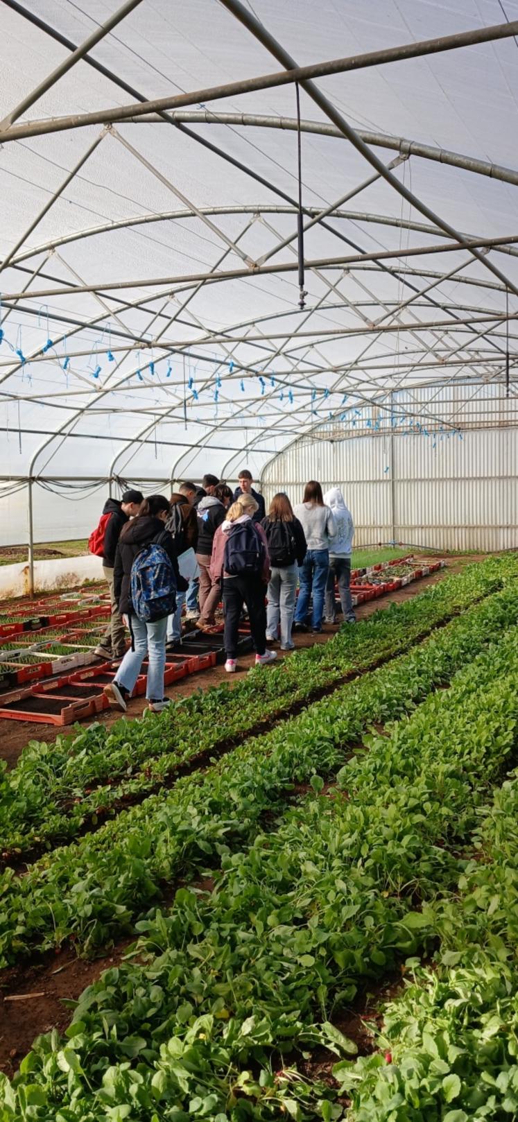 Cette semaine banalisée est très appréciée par les étudiants. Elle les sort de leur quotidien et permet d'appréhender une notion complexe de manière très concrète dans la vie de tous les jours.