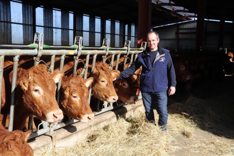 Thibault Ecalard est installé dans le Pays d'Auge à Livarot. Adhérent du syndicat de race Limousins du Calvados, il accueillera l'assemblée générale, réservée aux membres, jeudi 19 mars.
