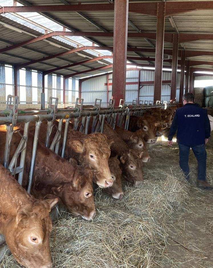 Il recourt à une caméra de surveillance et un détecteur de vêlage.