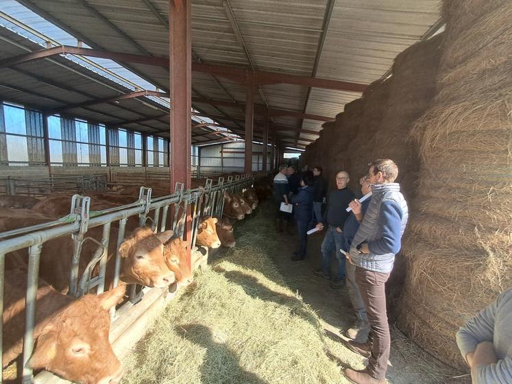 La visite de l'après-midi s'est faite chez Thibault Ecalard, près de Livarot. Dans le Calvados, Origenplus note un "regain d'activité avec + 12 % d'IAP en race pure Limousine. C'est la race où l'on a eu le plus d'augmentations".