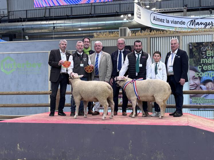 Coup double pour Samuel Binet en race Cotentin, éleveur à Vire-Normandie.