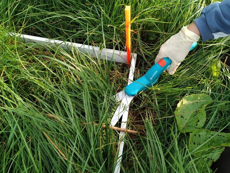 Les résultats sont encore en cours d'analyse.