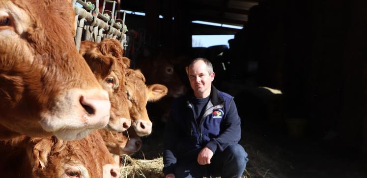 Rencontre Thibault Ecalard AG syndicat de race Limousin du Calvados 2026 Livarot