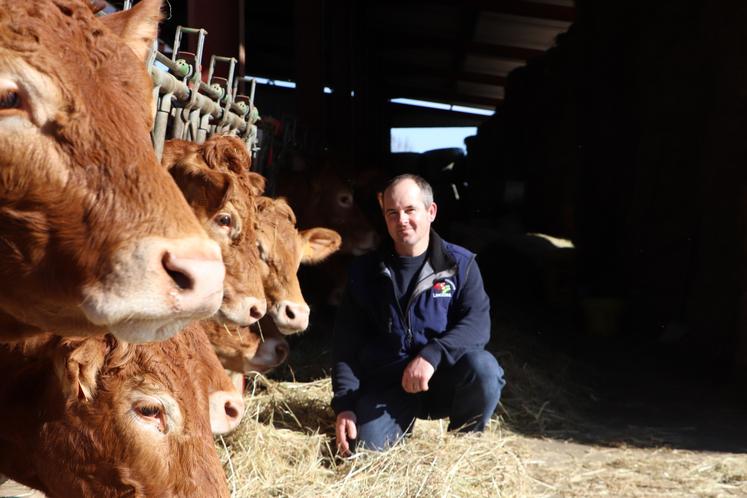 Thibault Ecalard accueillera le syndicat de race Limousin mi-mars.