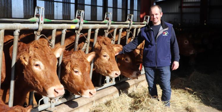 Thibault Ecalard est installé dans le Pays d’Auge à Livarot. Adhérent du syndicat de race Limousins du Calvados,il accueillera l'assemblée générale, réservée aux membres, jeudi 19 mars.