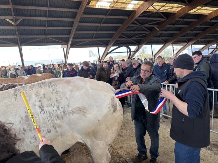 Pour les grands prix de championnat, le ruban bleu blanc rouge s'impose.