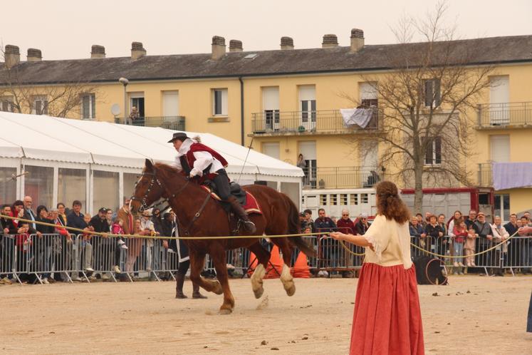 "Il arrive qu'en répétitions les chevaux n'en fassent qu'à leur tête, tandis que pendant le spectacle ils sont poussés par l'énergie du public et sont contents d'être là", s'amuse Mathilde Maugard. Cinq chevaux de plusieurs membres de l'association étaient présents. 