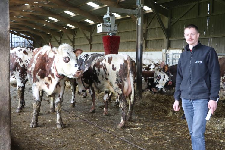 Théo Chevalier s'est installé sur la ferme familiale en 2021. Les vaches pâturent sur 15 ha, au sein d'une quinzaine de paddocks avec un système de fil avancé deux fois par jour.