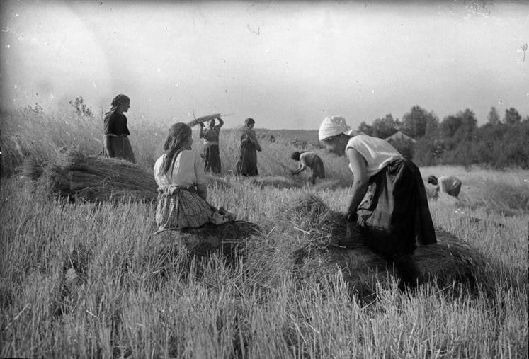 35 000 hommes de Basse-Normandie, âgés de 20 à 48 ans, ont été faits prisonniers en Allemagne pendant le conflit, obligeant les femmes, les enfants et les vieillards à travailler au champ et à la traite.
