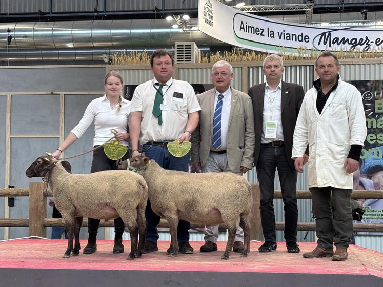 Sylvain Debout, passionné par la race, comme sa nièce, Tess, se distingue dans le championnat laine.