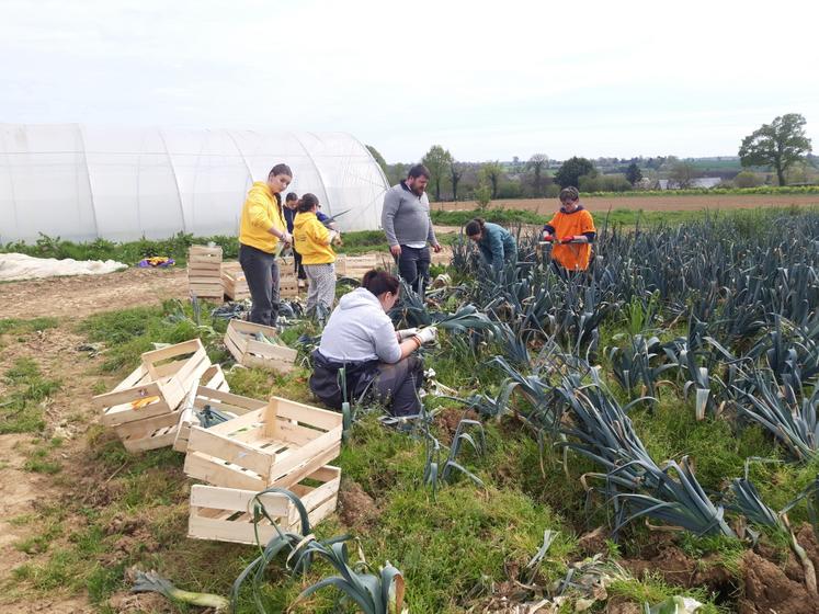 Plus de 900 kg de poireaux ont été récoltés au profit des associations caritatives.