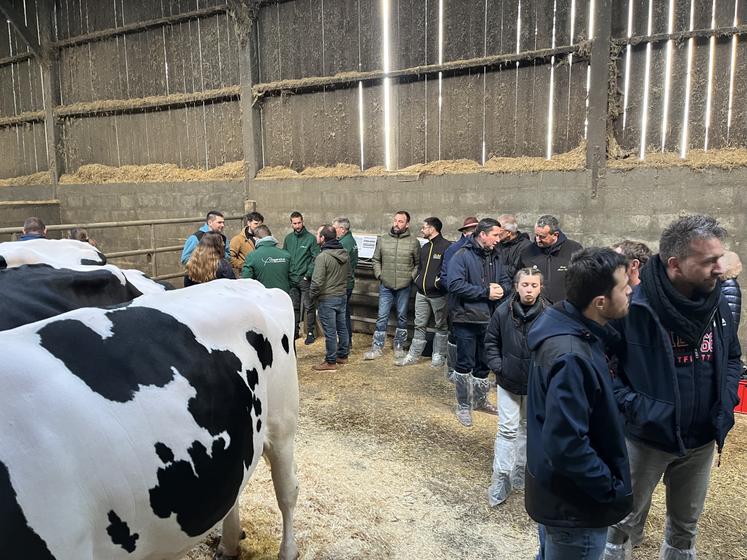 EARL de la Chaine Timothée Audouin AG Prim'Holstein 61