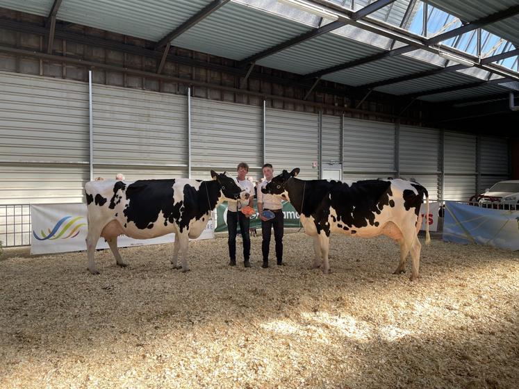La championne adulte, Lieu Thomain Bestarly, de l'EARL du Lieu Thomain, face à sa réserve, Lieu Thomain Raomi (3e lactation et plus), du même élevage.