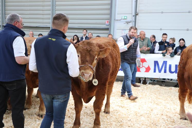 Le concours a été jugé par Guillaume Lajudie, originaire de Haute-Vienne, éleveur et directeur de Sélecviande. Il a salué à plusieurs reprises "le niveau du concours et la qualité" des bêtes présentées.