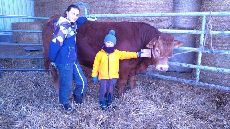 Manon Ecalard participera pour la 1re fois à un concours. Elle sera accompagnée d'un veau de 14 mois, Abricot, sous les yeux admiratifs de son petit frère.