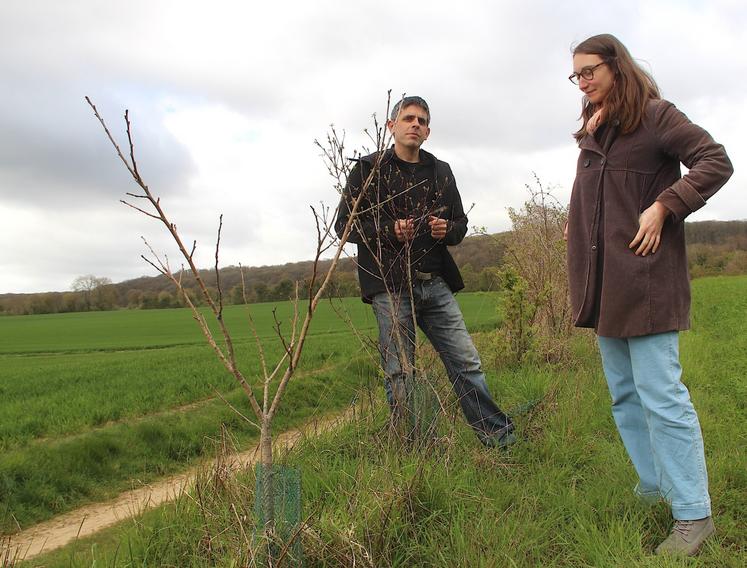 Sylvain Durey (agriculteur bio à Saint-Jean-de-la-Forêt) et Julia Hégédus (animatrice haies au Parc).