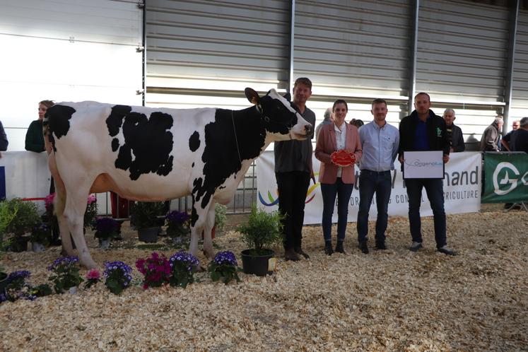 Place à la grande championne : Baldoia, fille de Arrow NH (catégorie 1e et 2e lactations). Une victoire qui consacre l'EARL Drakkar Holstein.