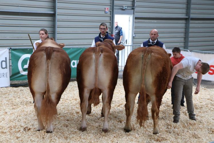 Le juge a salué "une présentation exceptionnelle".