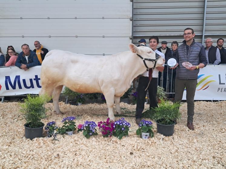Grégoire Maguet (14 ans) repart avec la première place de la section jeunes talents (concours races allaitantes).