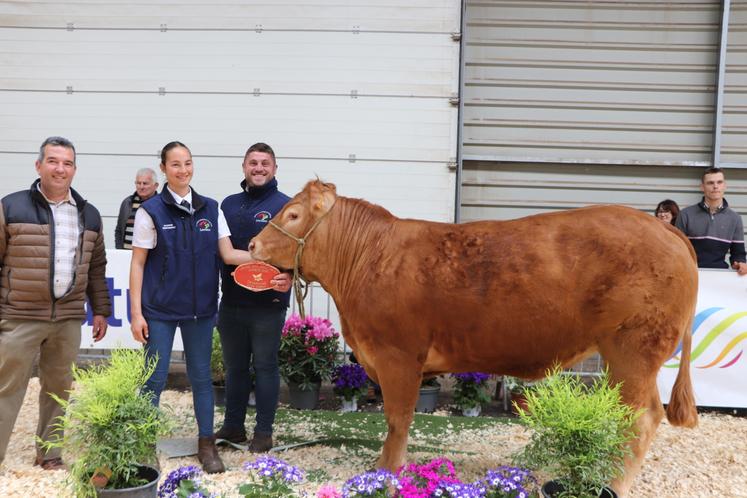 Quant à la SCEA du Lys, elle est consacrée grâce à Vanda, meilleure femelle sans cornes. Plus de photos sont à retrouver sur notre site web : https://www.agriculteur-normand.com/