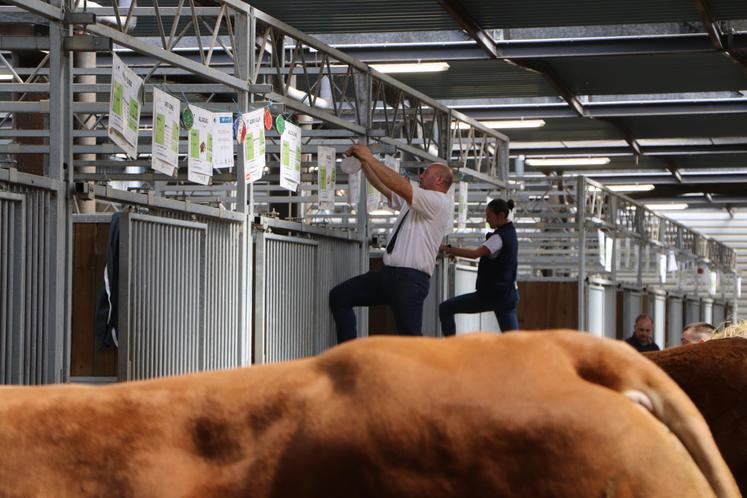 L'heure de l'accrochage des plaques est arrivée.
