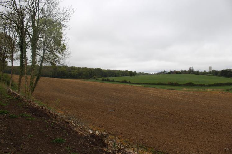 Sur cette parcelle, couloir principal du passage des sangliers, Jean-Charles Colette n'est pas certain de semer à nouveau.