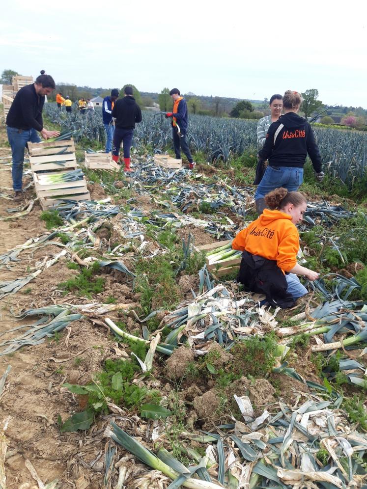 Grâce à la coordination de Solaal, les poireaux retrouvent une seconde vie solidaire.