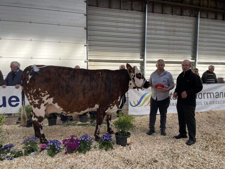 Avec Saguria, l'élevage Lereverend repart avec le titre de meilleure bouchère, entre autres.