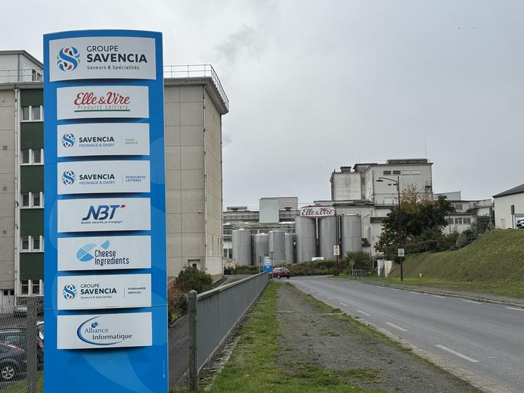 Bien que les producteurs soient collectés, Savencia n'a toujours pas signé d'accord-cadre avec Sunlait.