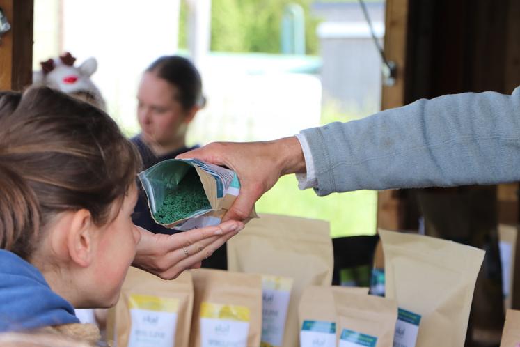 Sur 200 m2 de bassin, 40 kg de spiruline sont récoltés pour un produit final concentré de 4 kg. La spiruline se mérite. Les enfants et parents ont pu déguster la brindille qui présente un goût neutre.
