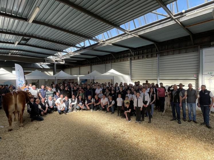 On retrouvera 62 animaux au total pour une quinzaine d'élevages côtés Limousins. Quant aux Prim'Holsteins, 17 génisses et 30 vaches sont inscrites, venant de neuf élevages. Pour les Normandes, huit élevages participeront avec 54 animaux (archives 2025).