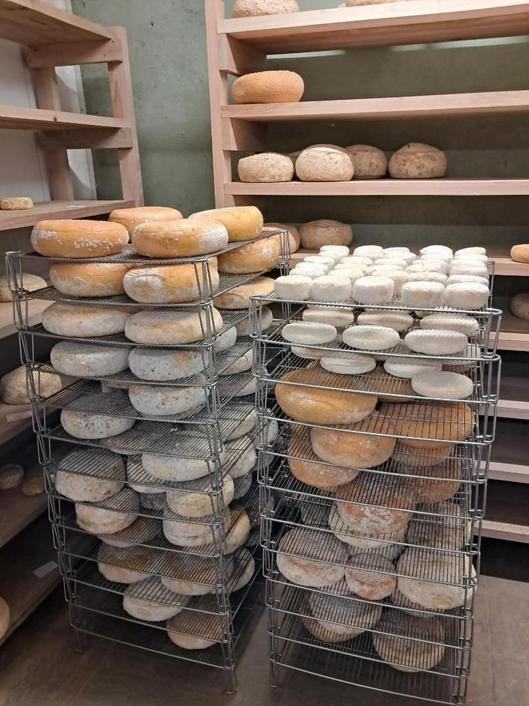 Avant d'être dégusté, le fromage passe en phase d'affinage. 